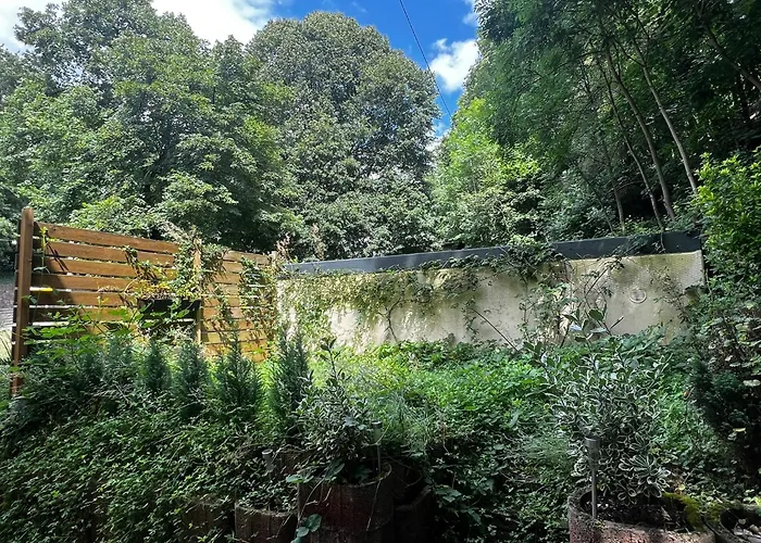 O&o * Koblenz (Rhineland-Palatinate)